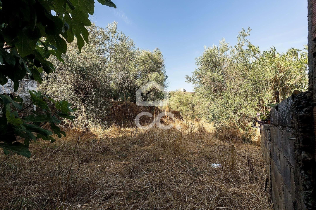 Moradia T1 para Venda em Arraiolos Foto 25