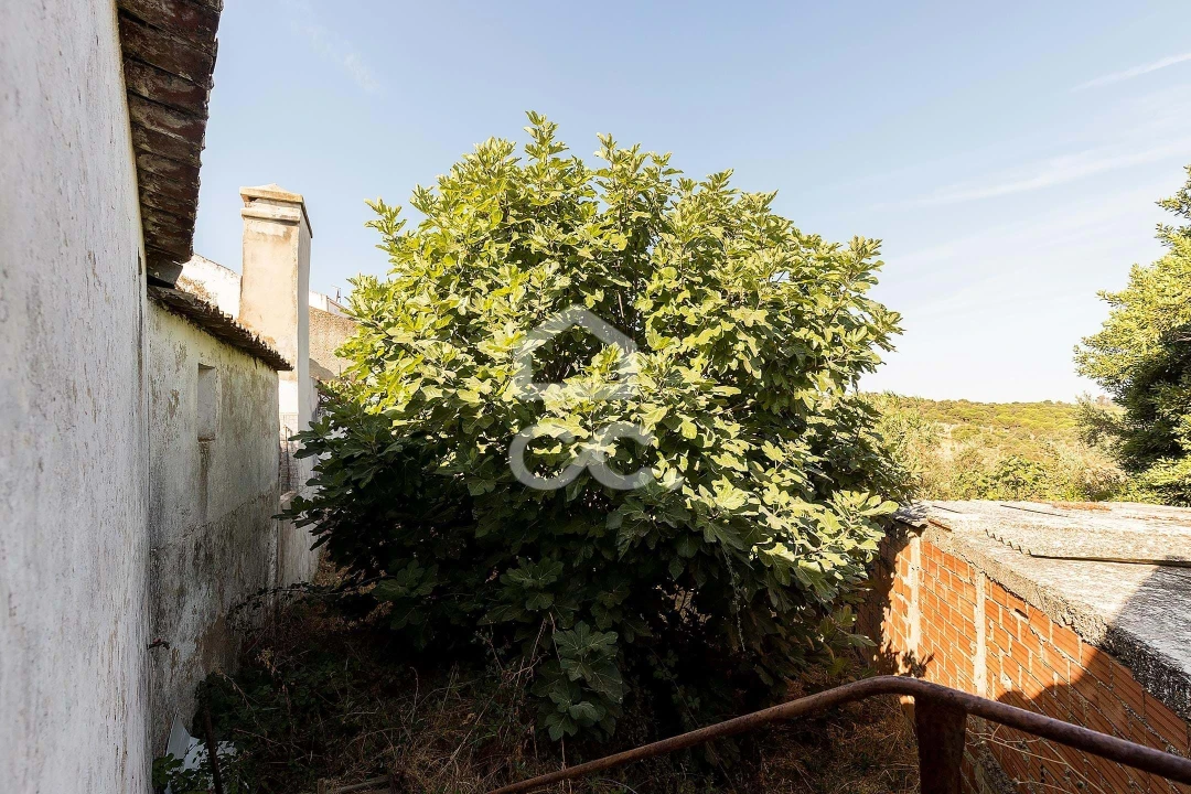 Moradia T1 para Venda em Arraiolos Foto 24