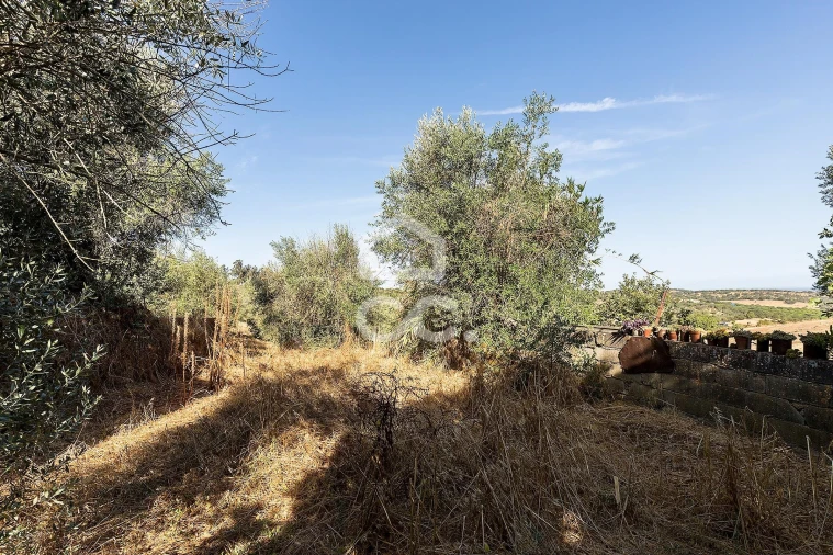 Moradia T1 para Venda em Arraiolos Foto 24