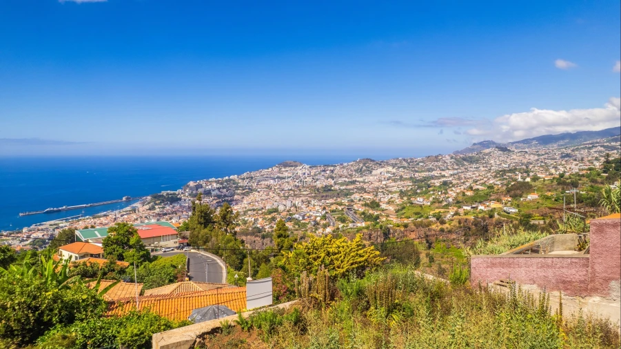 Terreno para Venda em Funchal (Santa Maria Maior) Foto 16