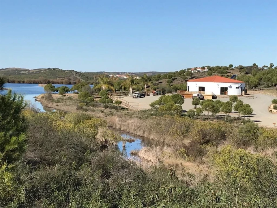 Moradia T3 para Venda em São Miguel do Pinheiro, São Pedro de Solis, São Sebastião dos Carros Foto 10