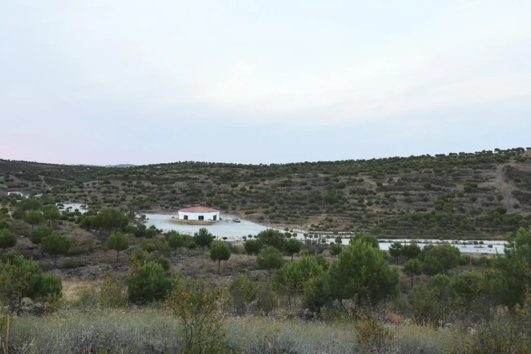 Moradia T3 para Venda em São Miguel do Pinheiro, São Pedro de Solis, São Sebastião dos Carros Foto 13