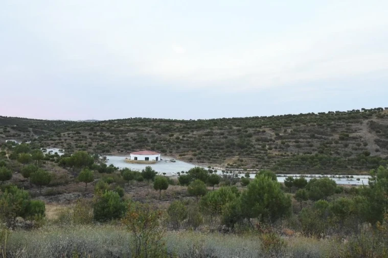 Moradia T3 para Venda em São Miguel do Pinheiro, São Pedro de Solis, São Sebastião dos Carros Foto 13