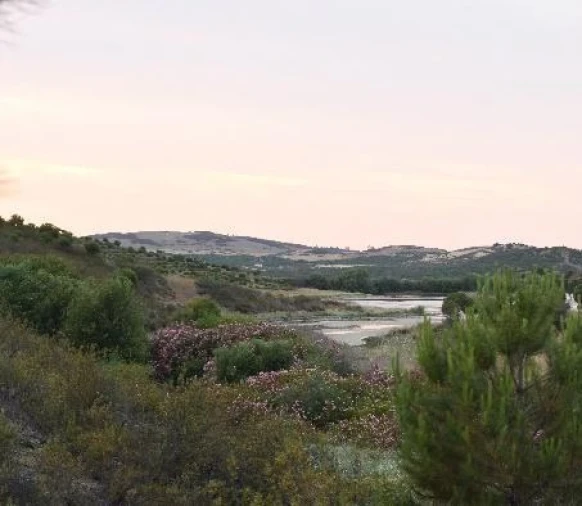 Moradia T3 para Venda em São Miguel do Pinheiro, São Pedro de Solis, São Sebastião dos Carros Foto 12