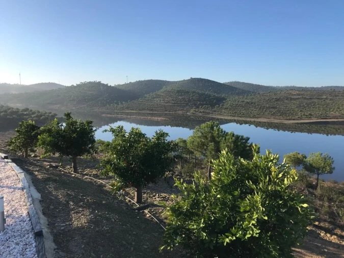 Moradia T3 para Venda em São Miguel do Pinheiro, São Pedro de Solis, São Sebastião dos Carros Foto 11