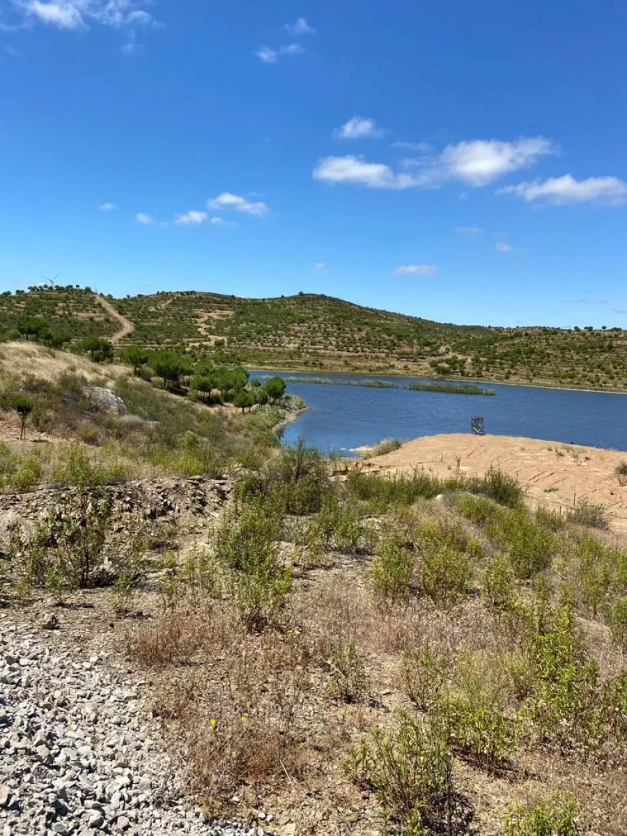 Moradia T3 para Venda em São Miguel do Pinheiro, São Pedro de Solis, São Sebastião dos Carros Foto 3