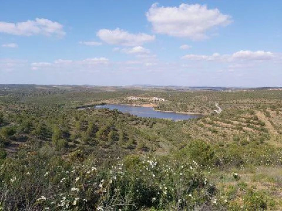 Moradia T3 para Venda em São Miguel do Pinheiro, São Pedro de Solis, São Sebastião dos Carros Foto 4