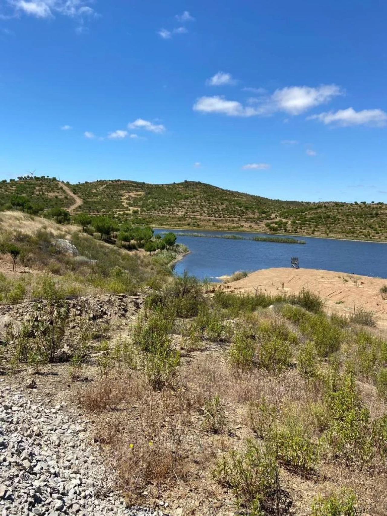 Moradia T3 para Venda em São Miguel do Pinheiro, São Pedro de Solis, São Sebastião dos Carros Foto 3