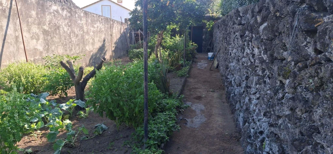 Moradia T4 para Venda em Ribeira Grande (Matriz) Foto 10