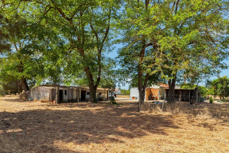 Quinta T2 para Venda em Palmela Foto 23