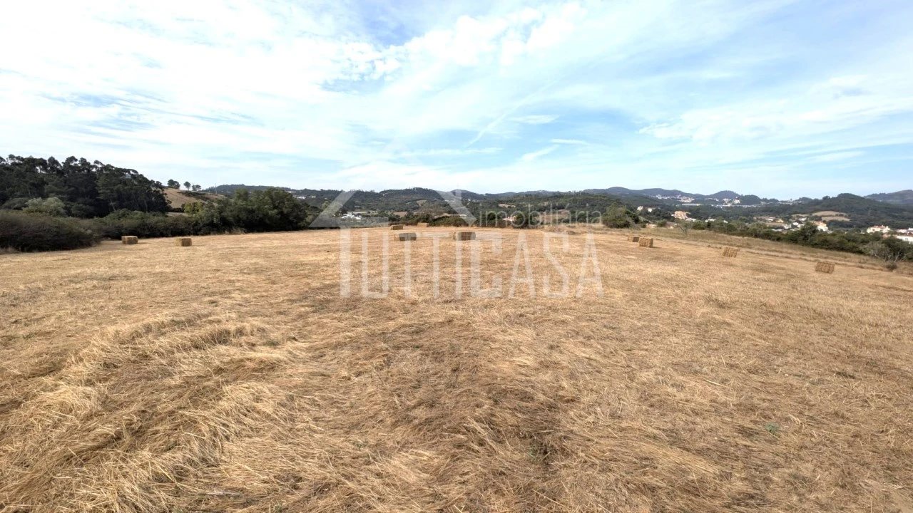 Terreno Agricola ou Rústico para Venda em Milharado Foto 7