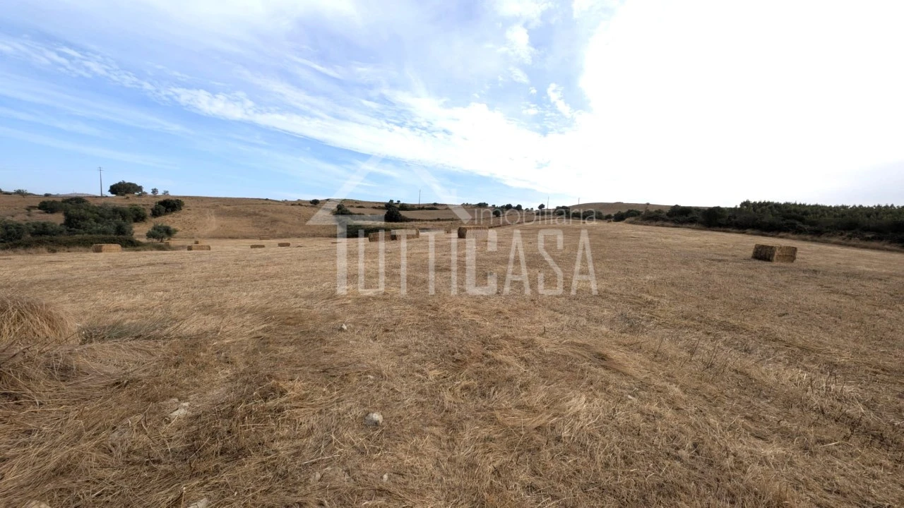 Terreno Agricola ou Rústico para Venda em Milharado Foto 8