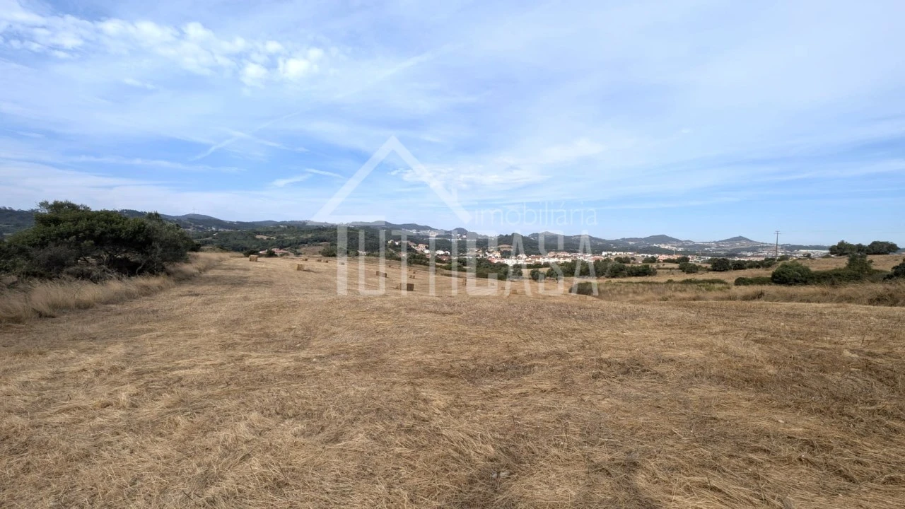 Terreno Agricola ou Rústico para Venda em Milharado Foto 9