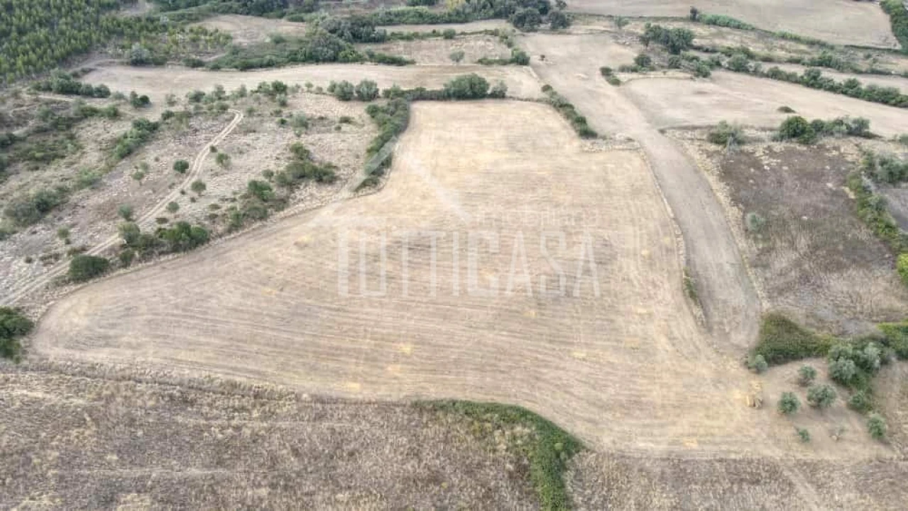 Terreno Agricola ou Rústico para Venda em Milharado Foto 2