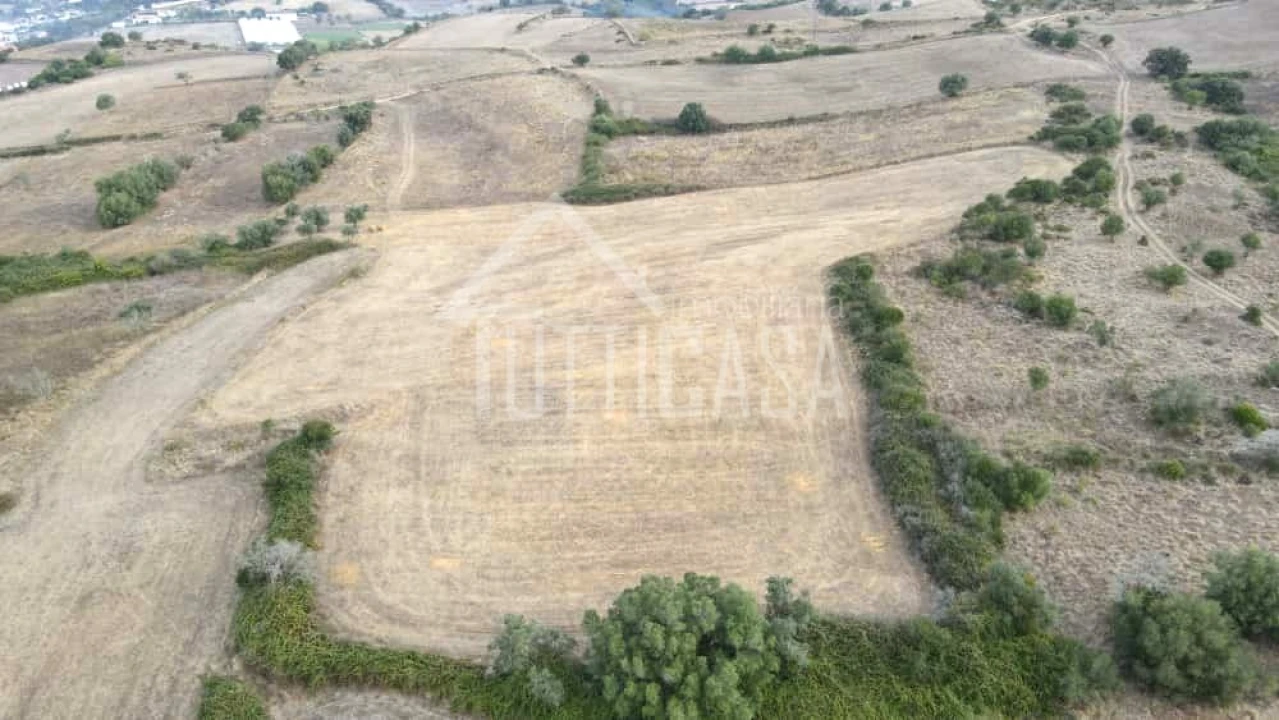 Terreno Agricola ou Rústico para Venda em Milharado Foto 4