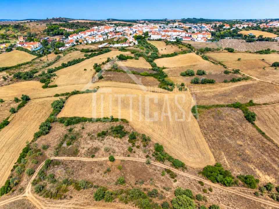 Terreno Agricola ou Rústico para Venda em Milharado Foto 2