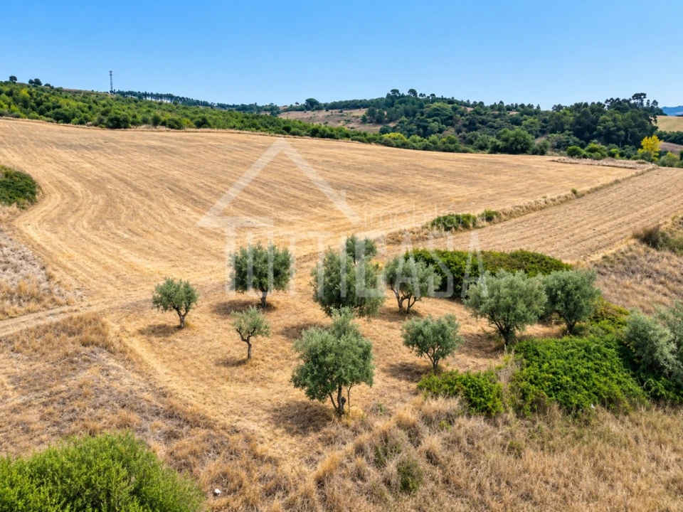 Terreno Agricola ou Rústico para Venda em Milharado Foto 3