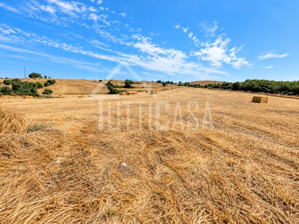 Terreno Agricola ou Rústico para Venda em Milharado Foto 4