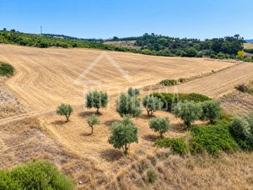 Terreno Agricola ou Rústico para Venda em Milharado
