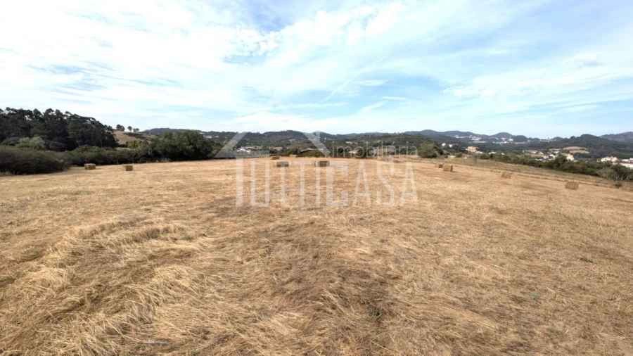 Terreno Agricola ou Rústico para Venda em Milharado Foto 7
