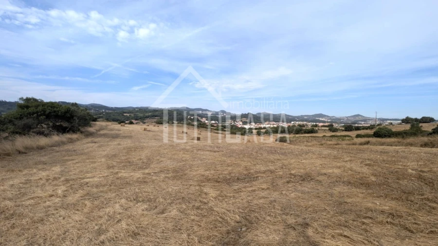 Terreno Agricola ou Rústico para Venda em Milharado Foto 9