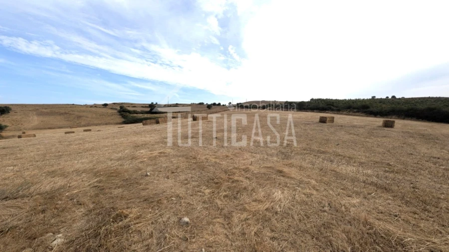 Terreno Agricola ou Rústico para Venda em Milharado Foto 10