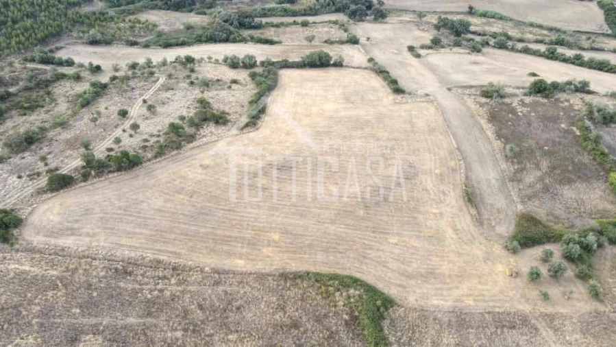 Terreno Agricola ou Rústico para Venda em Milharado Foto 2