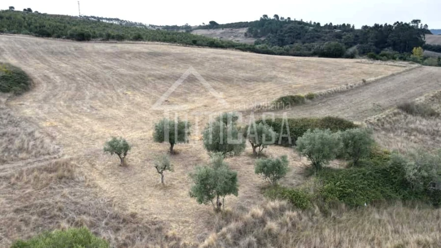 Terreno Agricola ou Rústico para Venda em Milharado Foto 3