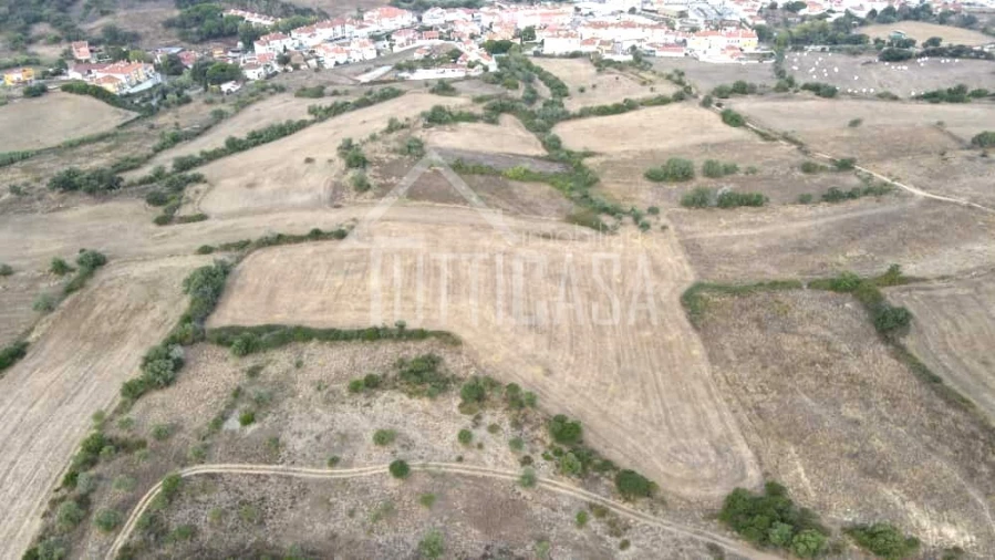 Terreno Agricola ou Rústico para Venda em Milharado Foto 6