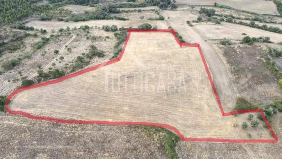 Terreno Agricola ou Rústico para Venda em Milharado Foto 1