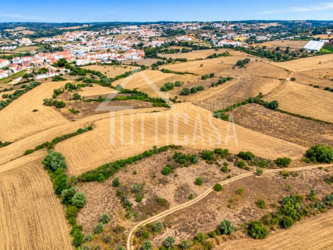 Terreno Agricola ou Rústico para Venda em Milharado Foto 5