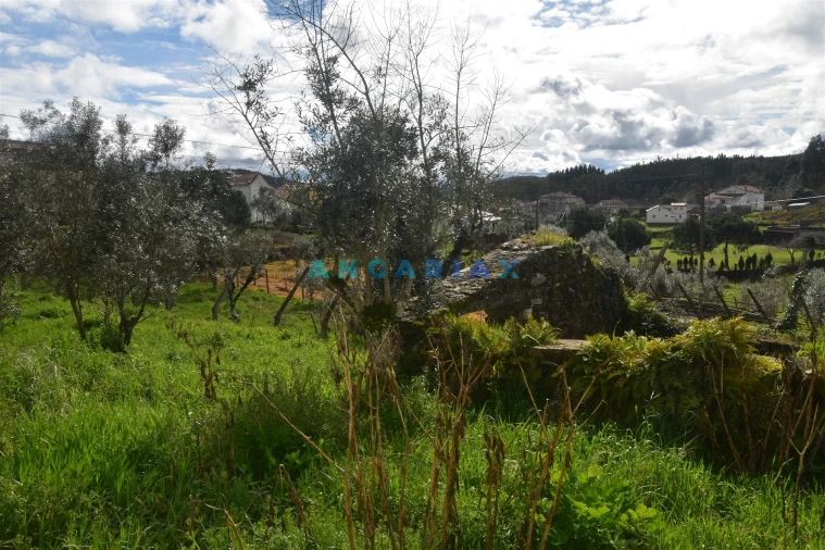 Moradia T1 para Venda em Figueiró dos Vinhos e Bairradas Foto 9