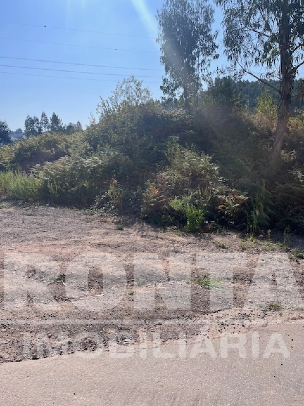Terreno Comércio / Armazém para Venda em Lordelo Foto 1