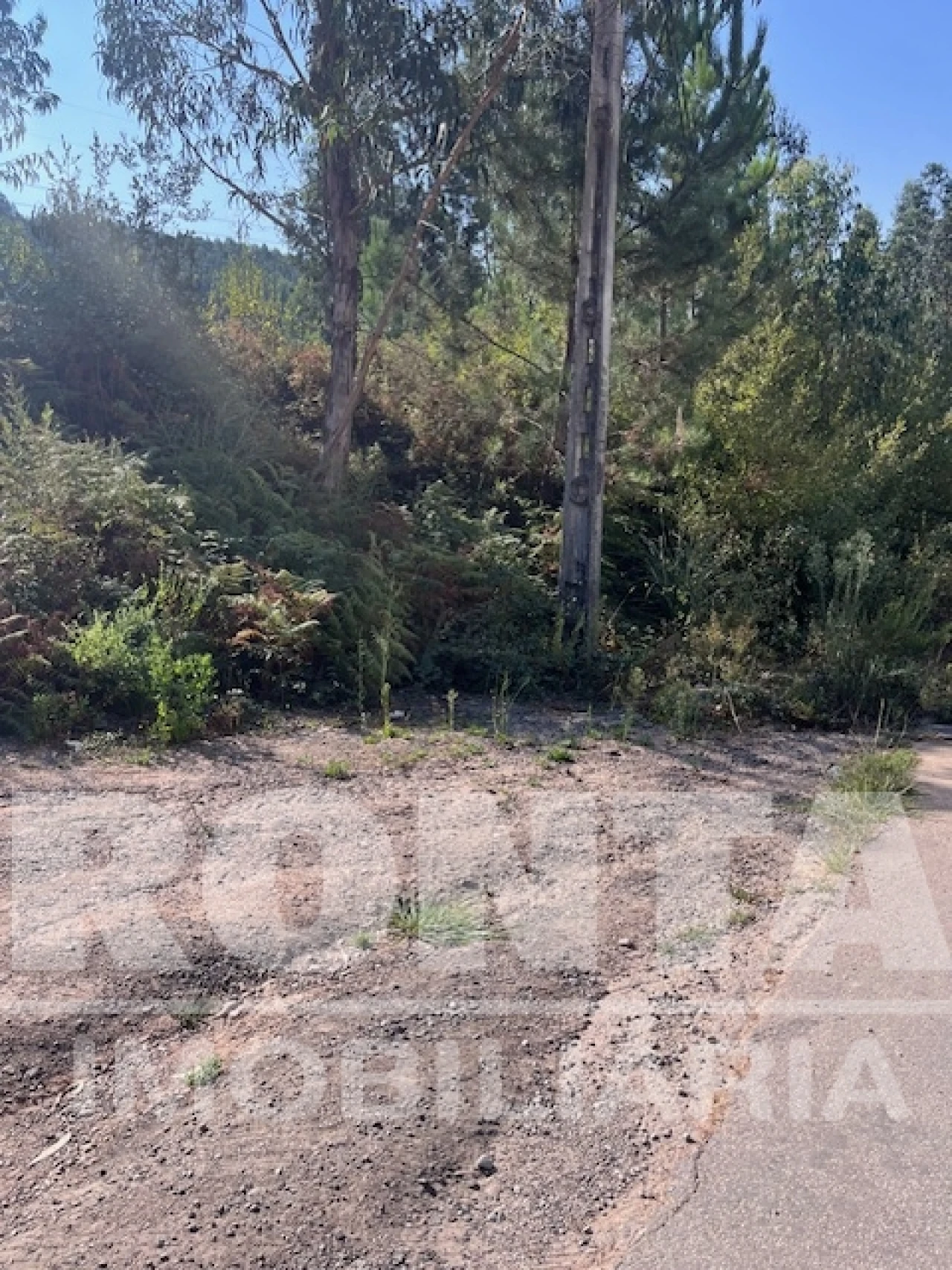 Terreno Comércio / Armazém para Venda em Lordelo Foto 2