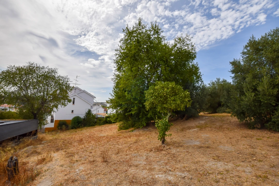 Terreno para Venda em Torres Novas (São Pedro), Lapas e Ribeira Branca Foto 21