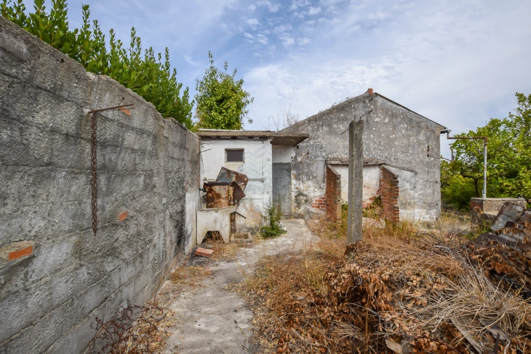 Terreno para Venda em Torres Novas (São Pedro), Lapas e Ribeira Branca Foto 17