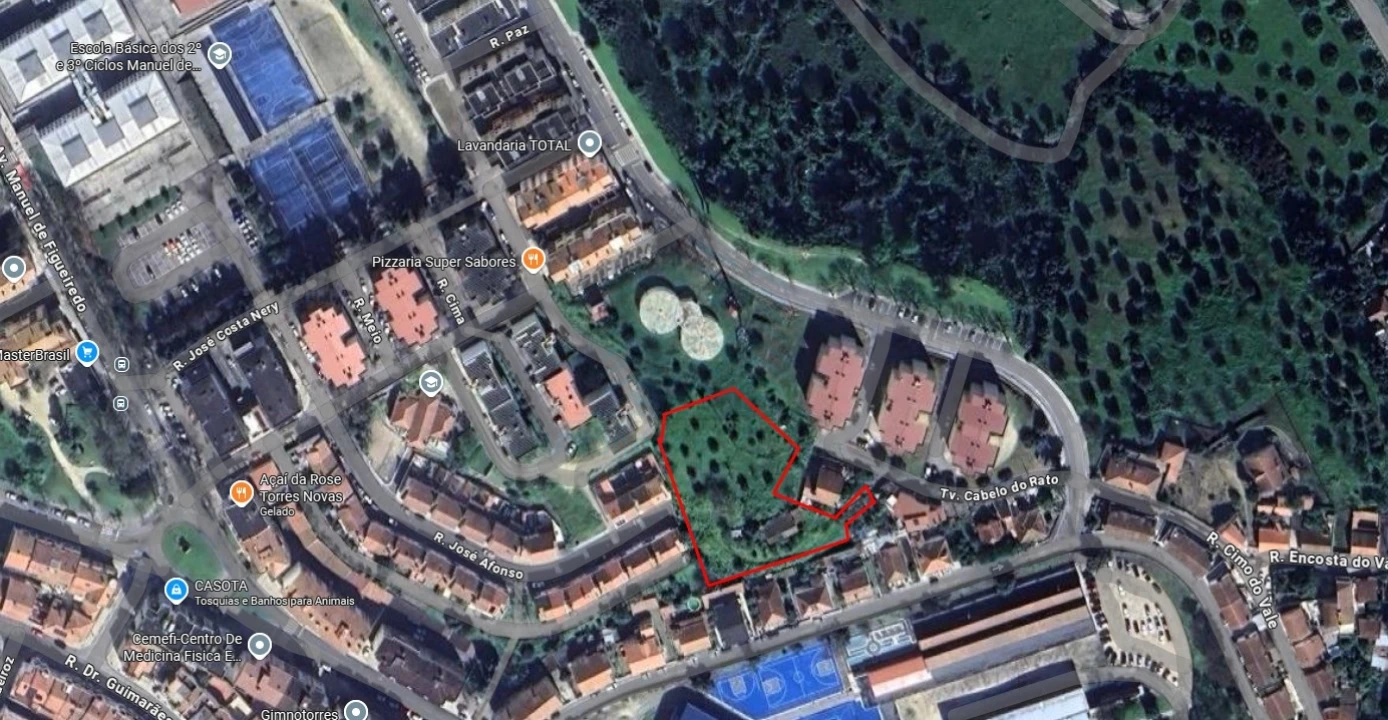 Terreno para Venda em Torres Novas (São Pedro), Lapas e Ribeira Branca Foto 1