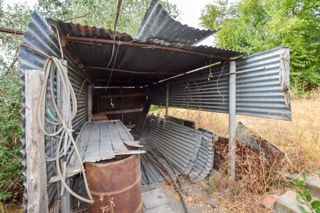 Terreno para Venda em Torres Novas (São Pedro), Lapas e Ribeira Branca Foto 18