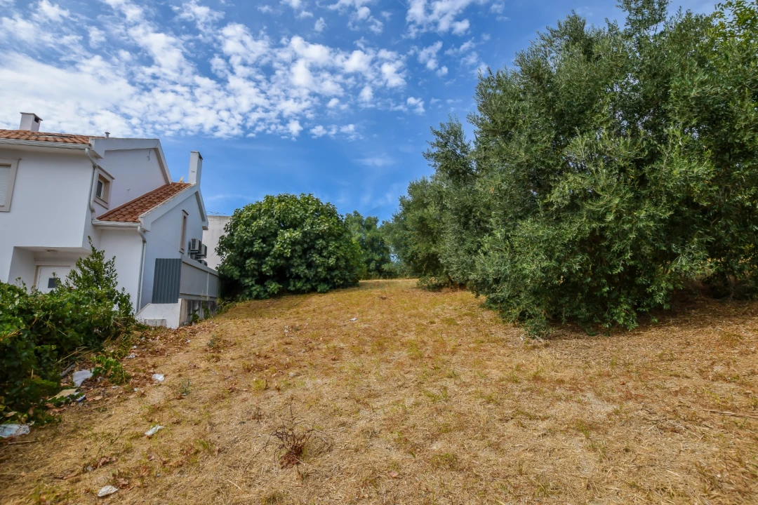 Terreno para Venda em Torres Novas (São Pedro), Lapas e Ribeira Branca Foto 25