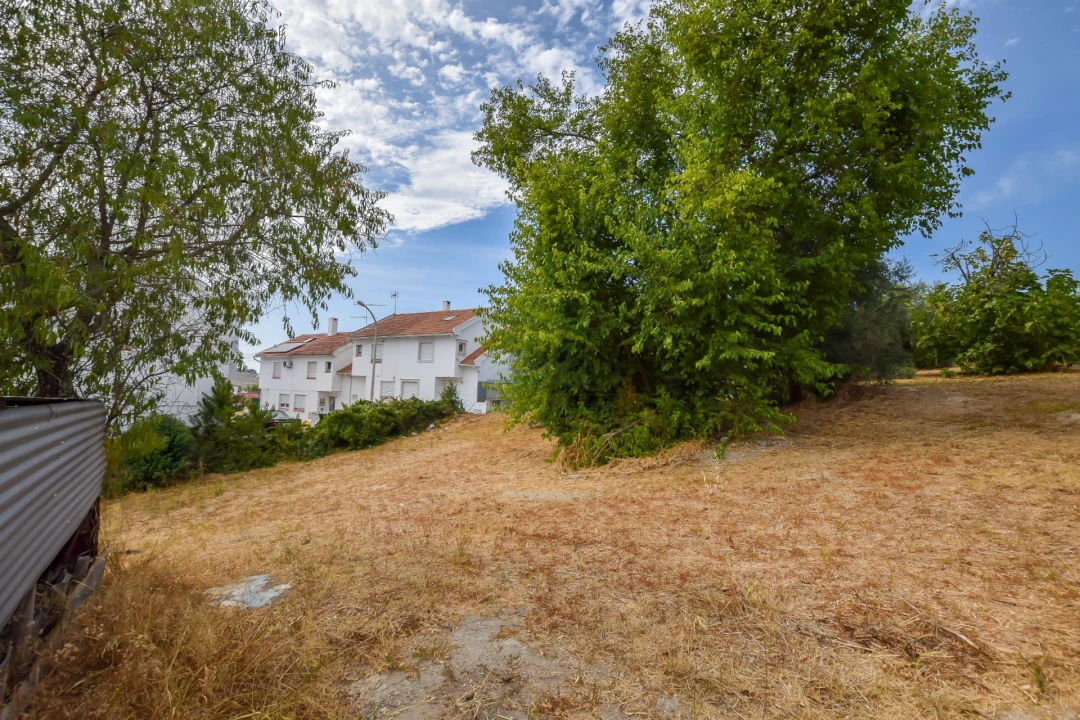 Terreno para Venda em Torres Novas (São Pedro), Lapas e Ribeira Branca Foto 19