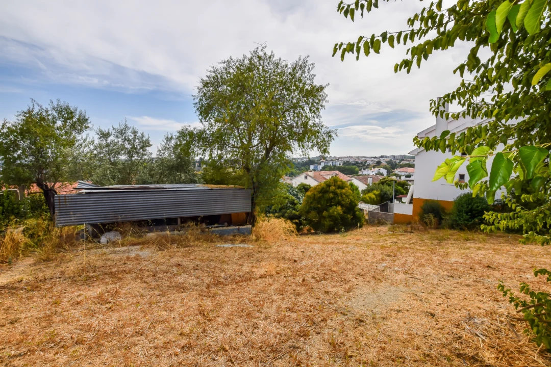 Terreno para Venda em Torres Novas (São Pedro), Lapas e Ribeira Branca Foto 23