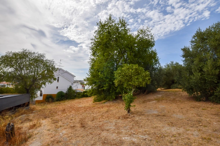 Terreno para Venda em Torres Novas (São Pedro), Lapas e Ribeira Branca Foto 21