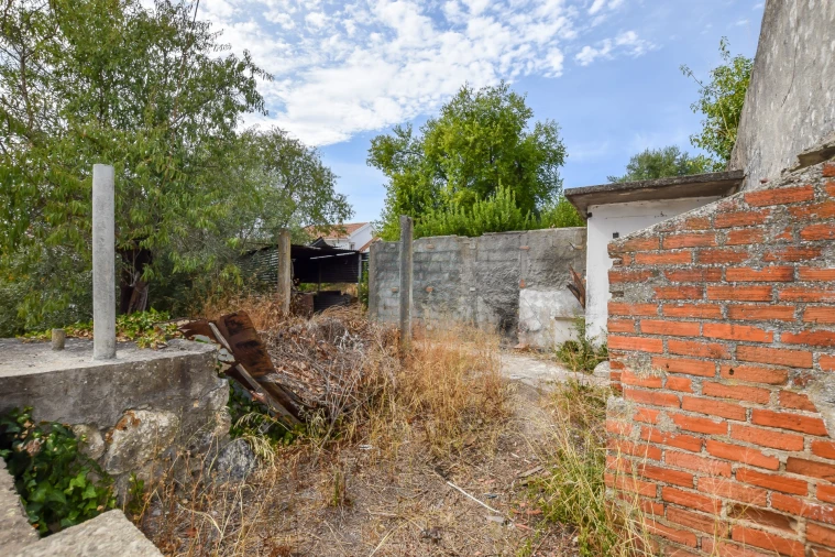 Terreno para Venda em Torres Novas (São Pedro), Lapas e Ribeira Branca Foto 16