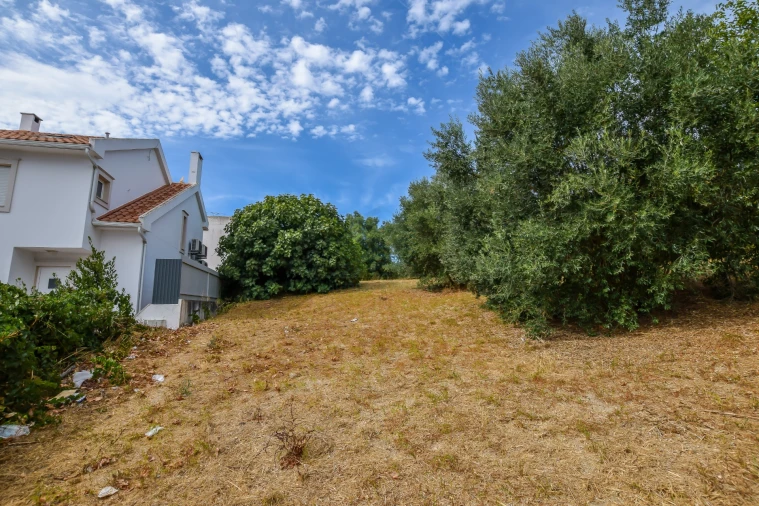 Terreno para Venda em Torres Novas (São Pedro), Lapas e Ribeira Branca Foto 25