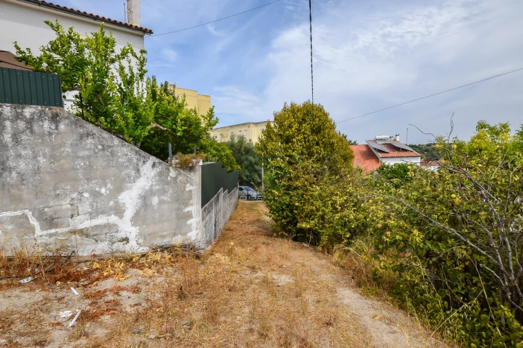 Terreno para Venda em Torres Novas (São Pedro), Lapas e Ribeira Branca Foto 14