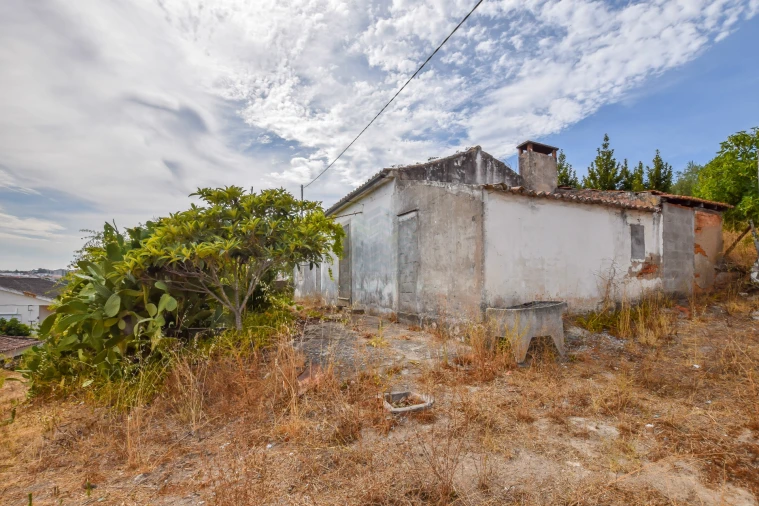Terreno para Venda em Torres Novas (São Pedro), Lapas e Ribeira Branca Foto 15