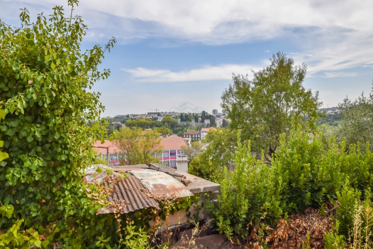 Terreno para Venda em Torres Novas (São Pedro), Lapas e Ribeira Branca Foto 22
