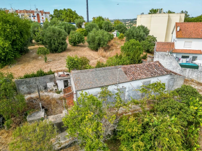 Terreno para Venda em Torres Novas (São Pedro), Lapas e Ribeira Branca Foto 10