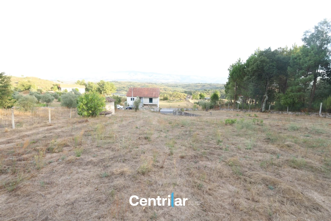 Terreno Agricola ou Rústico para Venda em Abrunhosa-A-Velha Foto 6