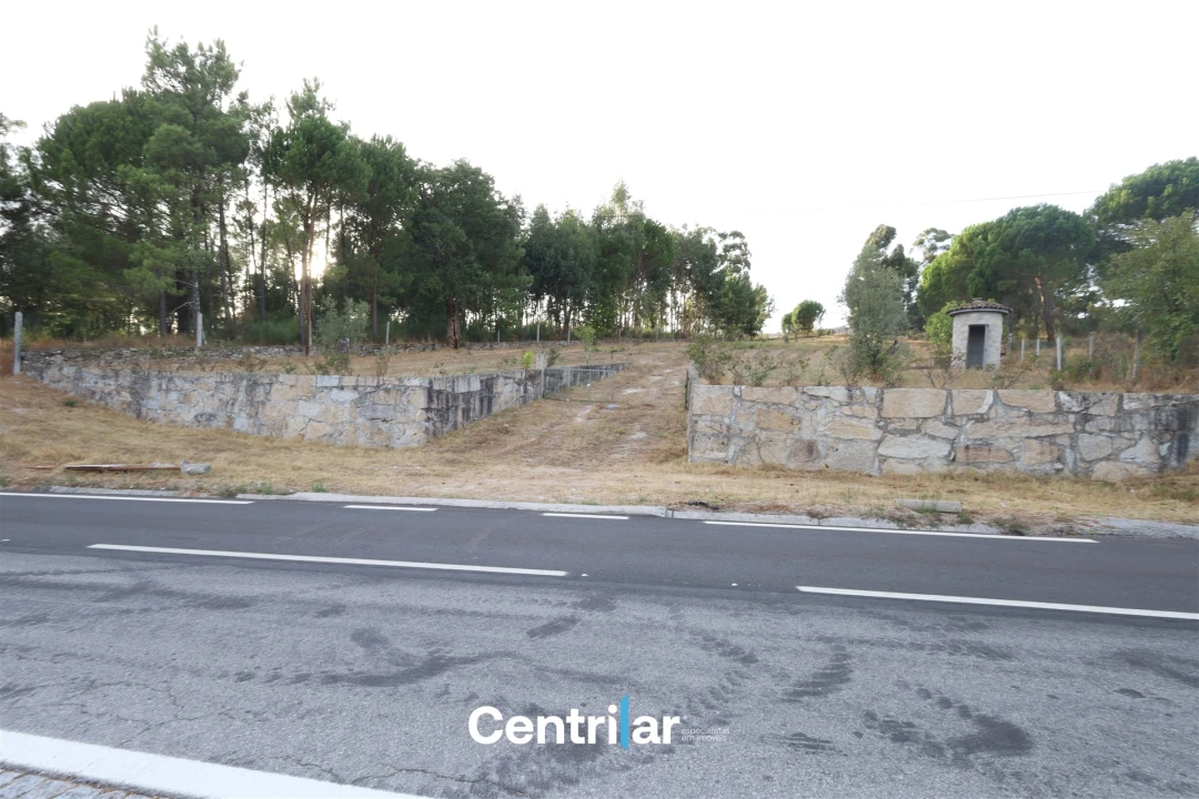 Terreno Agricola ou Rústico para Venda em Abrunhosa-A-Velha Foto 1